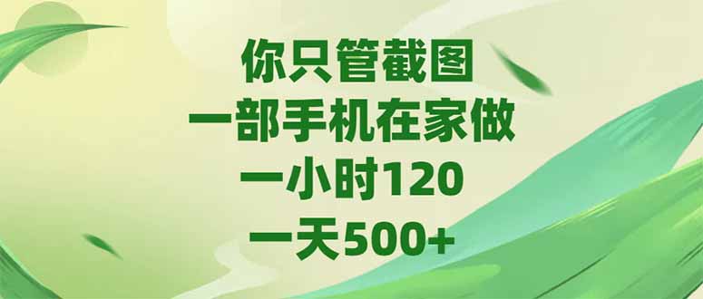 （15039期）你只管截图，一部手机在家做，一小时120，-天500+-网创猫